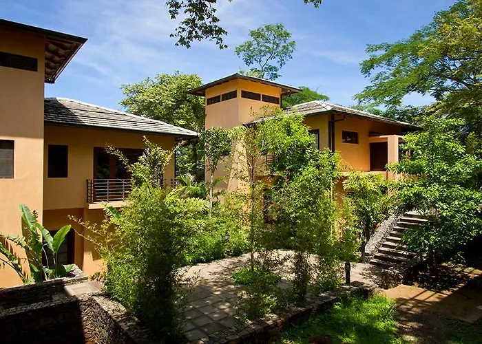 Jet Luxury At Langosta &