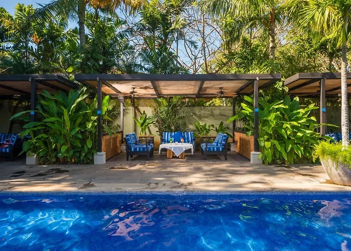 Jet Luxury At Langosta &